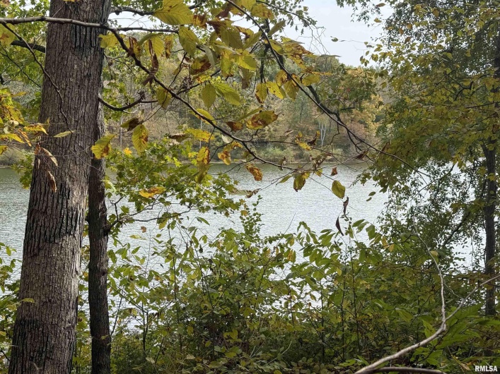 000 Clifty Lane, Goreville, Illinois 62939, 0 , 0 ,0,Land,For Sale,Clifty,0,RMAEB460233