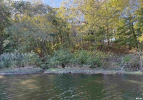 000 Clifty Lane, Goreville, Illinois 62939, 0 , 0 ,0,Land,For Sale,Clifty,0,RMAEB460233