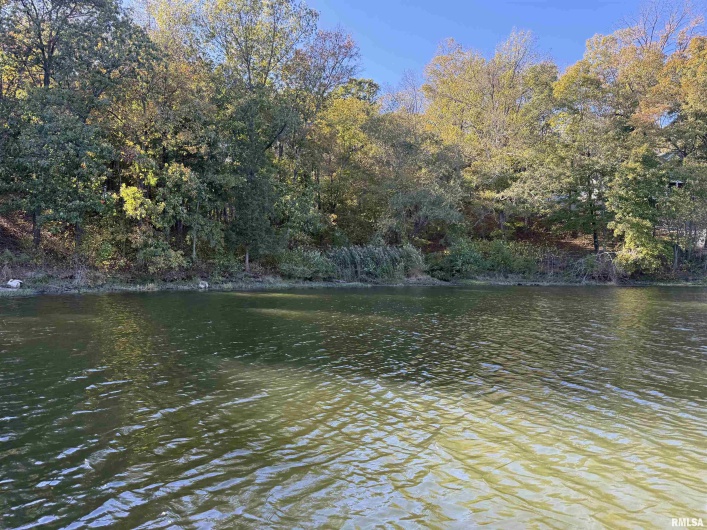 000 Clifty Lane, Goreville, Illinois 62939, 0 , 0 ,0,Land,For Sale,Clifty,0,RMAEB460233