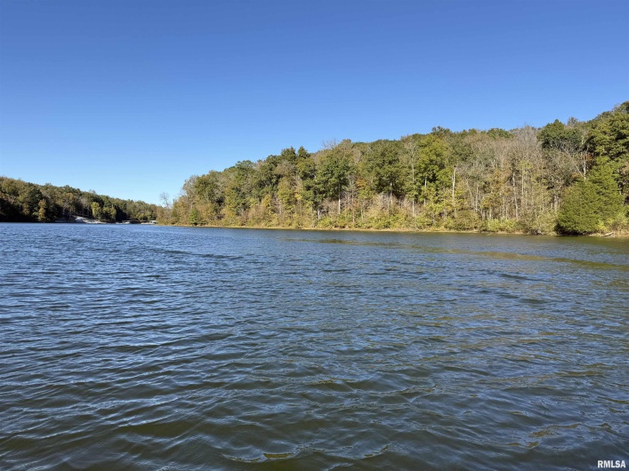 000 Clifty Lane, Goreville, Illinois 62939, 0 , 0 ,0,Land,For Sale,Clifty,0,RMAEB460233