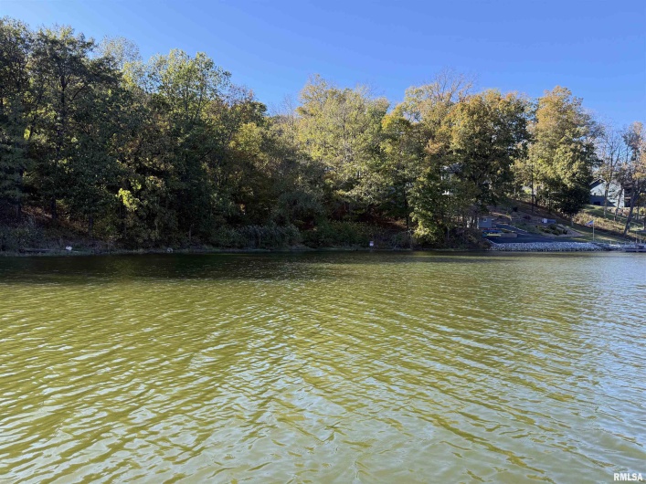000 Clifty Lane, Goreville, Illinois 62939, 0 , 0 ,0,Land,For Sale,Clifty,0,RMAEB460233