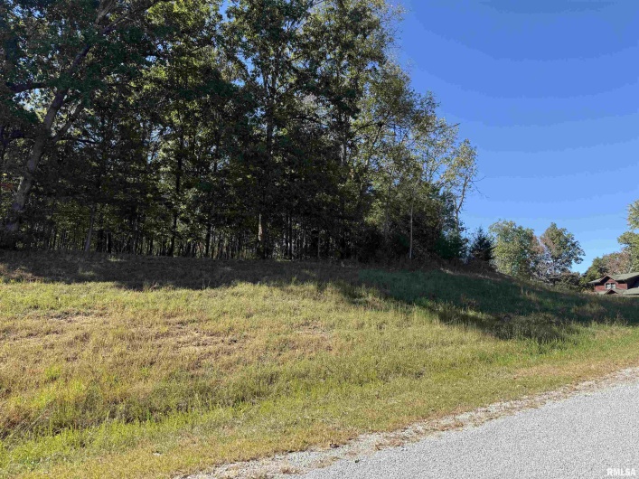 0000 Clifty Lane, Goreville, Illinois 62939, 0 , 0 ,0,Land,For Sale,Clifty,0,RMAEB460238