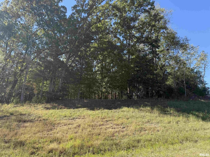 0000 Clifty Lane, Goreville, Illinois 62939, 0 , 0 ,0,Land,For Sale,Clifty,0,RMAEB460238