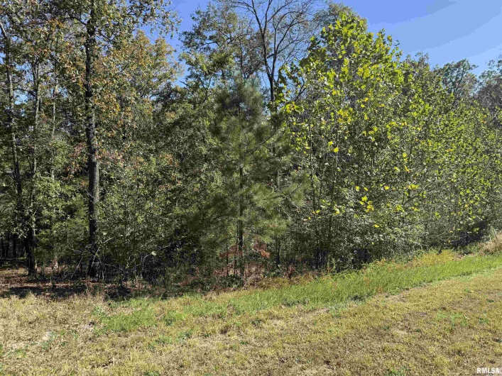 0000 Clifty Lane, Goreville, Illinois 62939, 0 , 0 ,0,Land,For Sale,Clifty,0,RMAEB460238