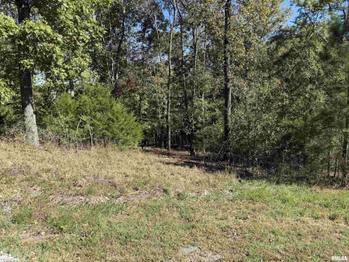 0000 Clifty Lane, Goreville, Illinois 62939, 0 , 0 ,0,Land,For Sale,Clifty,0,RMAEB460238