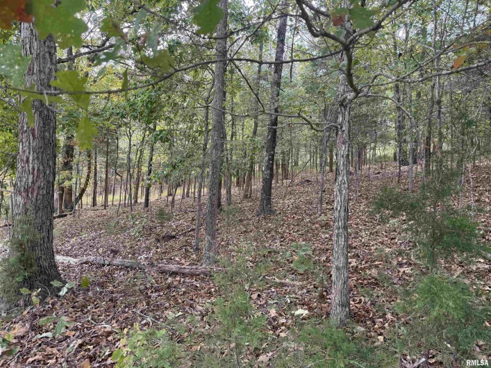 0000 Clifty Lane, Goreville, Illinois 62939, 0 , 0 ,0,Land,For Sale,Clifty,0,RMAEB460238