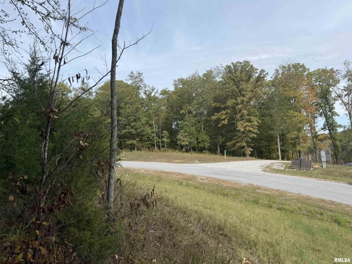 0000 Clifty Lane, Goreville, Illinois 62939, 0 , 0 ,0,Land,For Sale,Clifty,0,RMAEB460238