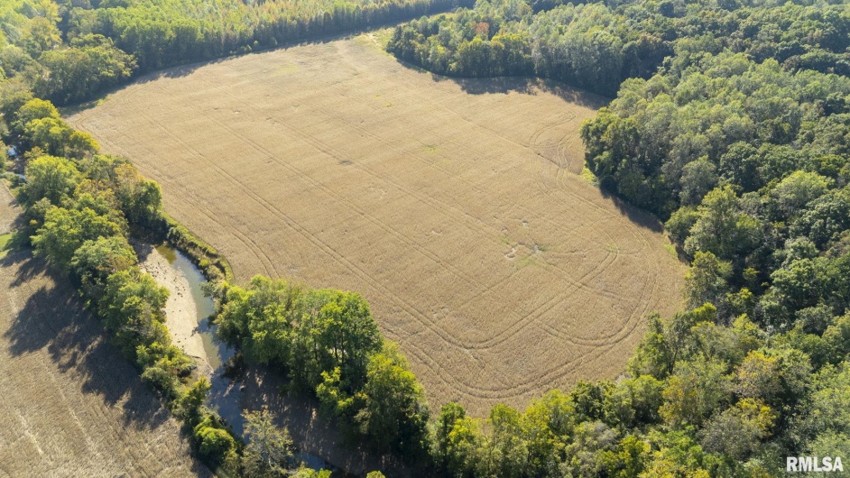 000 Berryville Road, Jonesboro, Illinois 62952, 0 , 0 ,0,Land,For Sale,Berryville,0,RMAEB460244