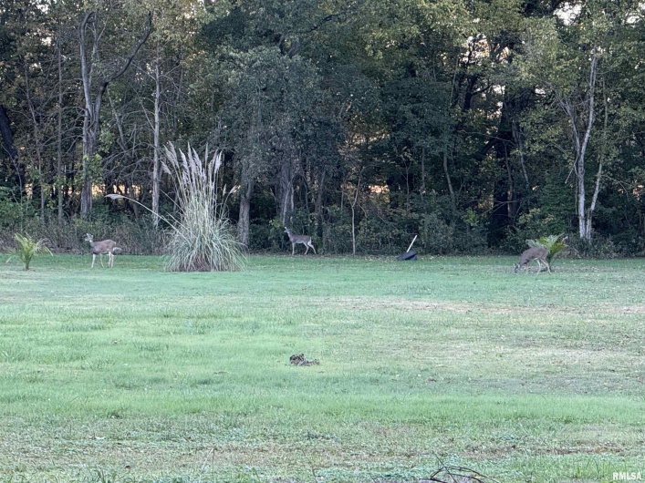 103 Board Street, Elkville, Illinois 62932, 4 Bedrooms Bedrooms, 0 ,2 BathroomsBathrooms,Residential,For Sale,Board,0,RMAQC4268734