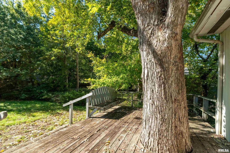 711 ELM Street, Carbondale, Illinois 62901, 3 Bedrooms Bedrooms, 0 ,1 BathroomBathrooms,Residential,For Sale,ELM,0,RMAEB460263