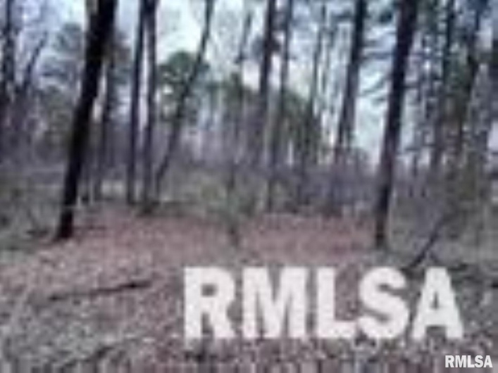 449 PINE Lane, Murphysboro, Illinois 62966, 0 , 0 ,0,Land,For Sale,PINE,0,RMAEB460275