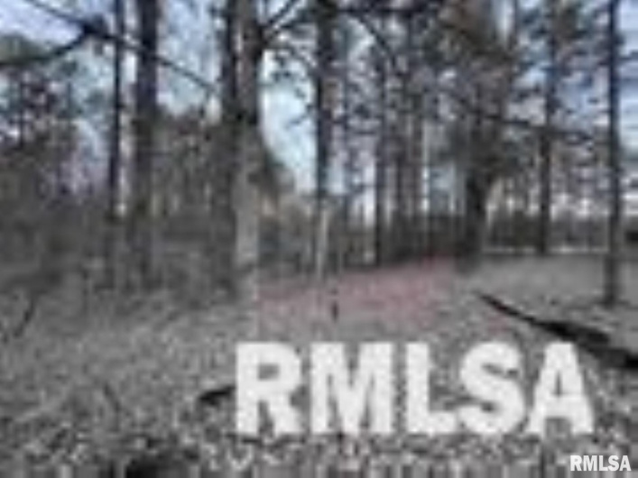449 PINE Lane, Murphysboro, Illinois 62966, 0 , 0 ,0,Land,For Sale,PINE,0,RMAEB460275