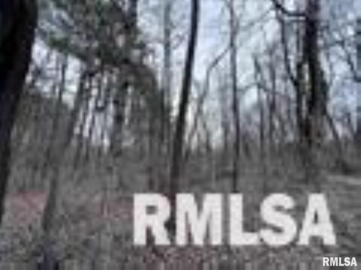 449 PINE Lane, Murphysboro, Illinois 62966, 0 , 0 ,0,Land,For Sale,PINE,0,RMAEB460275