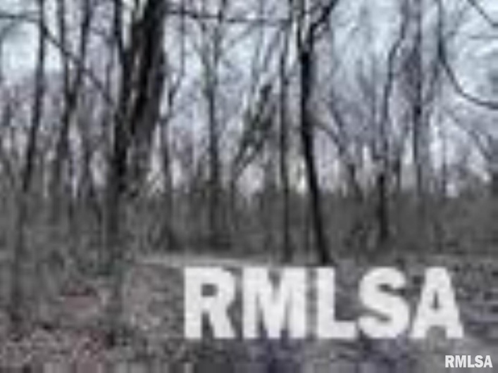 449 PINE Lane, Murphysboro, Illinois 62966, 0 , 0 ,0,Land,For Sale,PINE,0,RMAEB460275