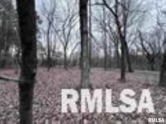 449 PINE Lane, Murphysboro, Illinois 62966, 0 , 0 ,0,Land,For Sale,PINE,0,RMAEB460275