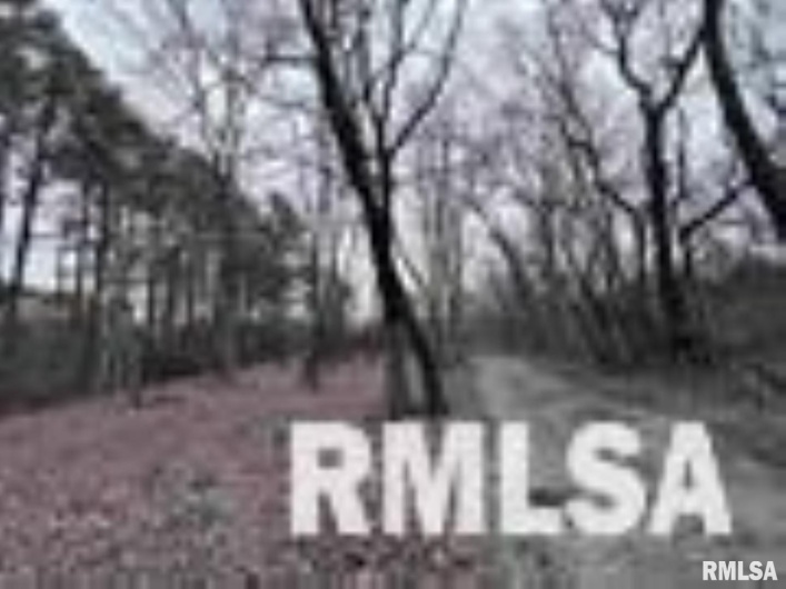 449 PINE Lane, Murphysboro, Illinois 62966, 0 , 0 ,0,Land,For Sale,PINE,0,RMAEB460275