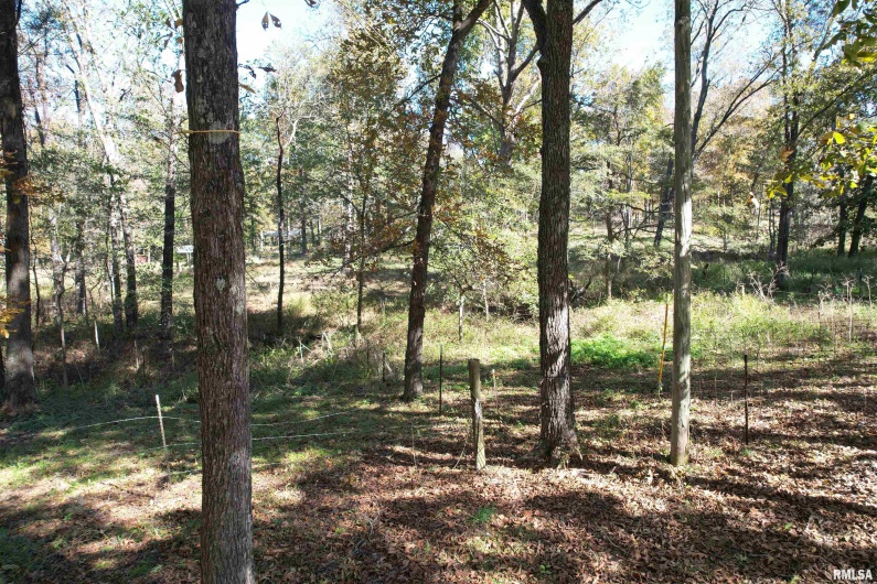 000 Lusk Road, Golconda, Illinois 62938, 0 , 0 ,0,Land,For Sale,Lusk,0,RMAEB460287