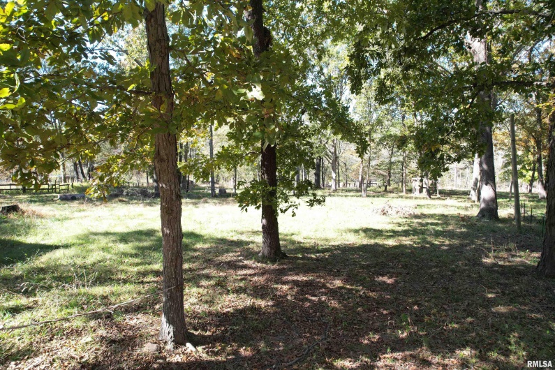 000 Lusk Road, Golconda, Illinois 62938, 0 , 0 ,0,Land,For Sale,Lusk,0,RMAEB460287