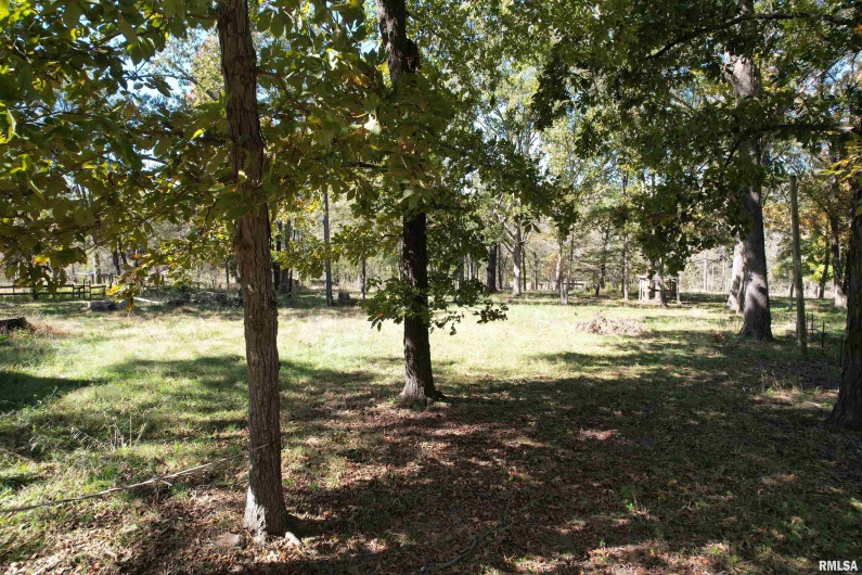 000 Lusk Road, Golconda, Illinois 62938, 0 , 0 ,0,Land,For Sale,Lusk,0,RMAEB460287