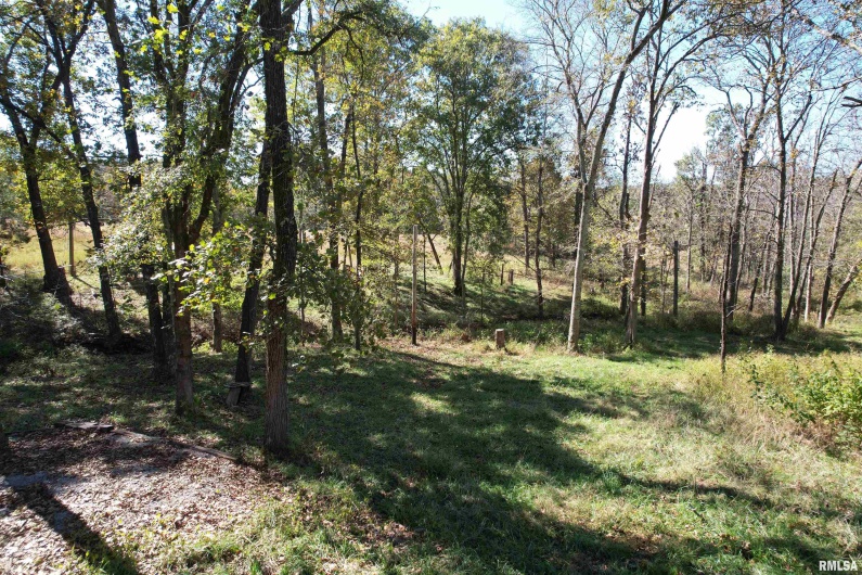 000 Lusk Road, Golconda, Illinois 62938, 0 , 0 ,0,Land,For Sale,Lusk,0,RMAEB460289