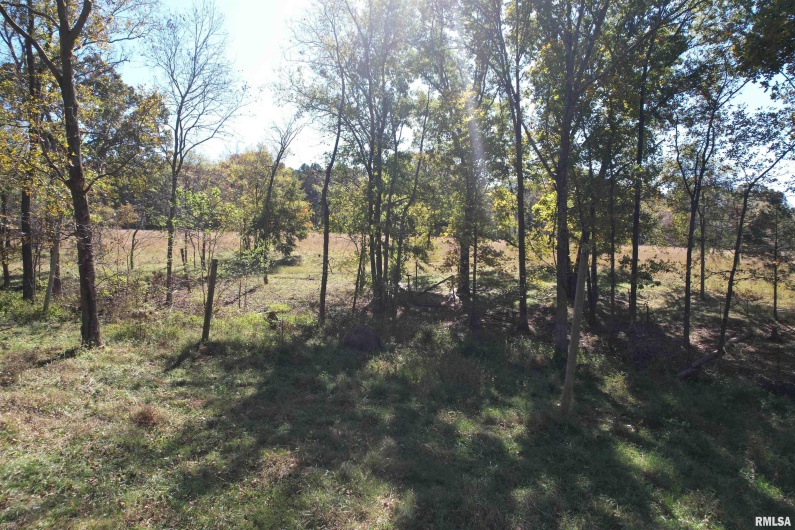 000 Lusk Road, Golconda, Illinois 62938, 0 , 0 ,0,Land,For Sale,Lusk,0,RMAEB460289