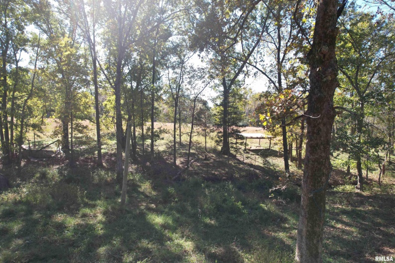 000 Lusk Road, Golconda, Illinois 62938, 0 , 0 ,0,Land,For Sale,Lusk,0,RMAEB460289