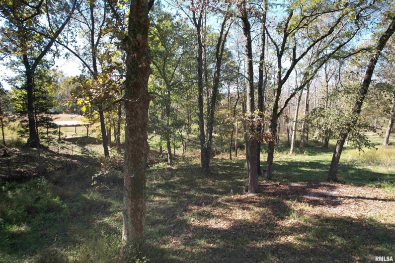 000 Lusk Road, Golconda, Illinois 62938, 0 , 0 ,0,Land,For Sale,Lusk,0,RMAEB460289