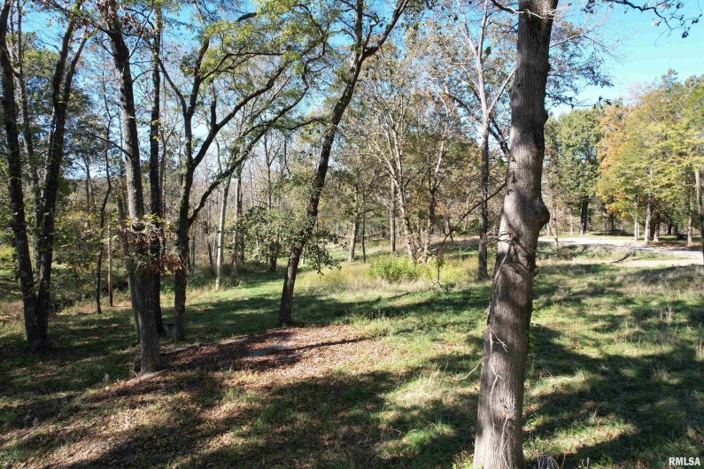 000 Lusk Road, Golconda, Illinois 62938, 0 , 0 ,0,Land,For Sale,Lusk,0,RMAEB460289