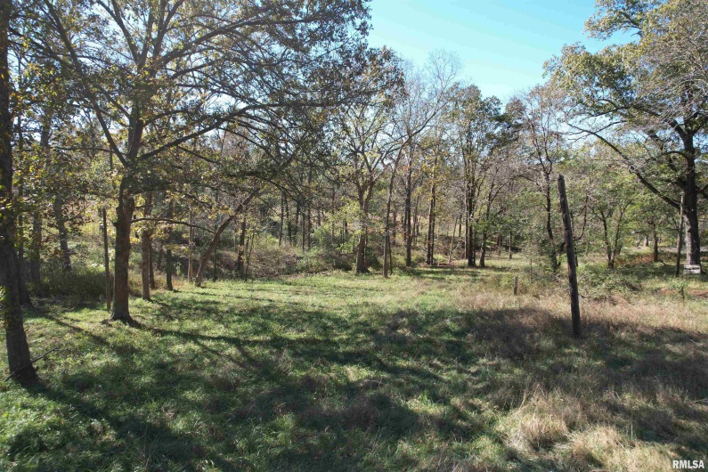 000 Lusk Road, Golconda, Illinois 62938, 0 , 0 ,0,Land,For Sale,Lusk,0,RMAEB460289