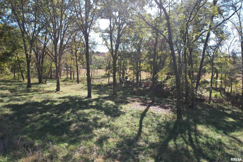 000 Lusk Road, Golconda, Illinois 62938, 0 , 0 ,0,Land,For Sale,Lusk,0,RMAEB460289