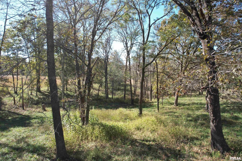 000 Lusk Road, Golconda, Illinois 62938, 0 , 0 ,0,Land,For Sale,Lusk,0,RMAEB460289