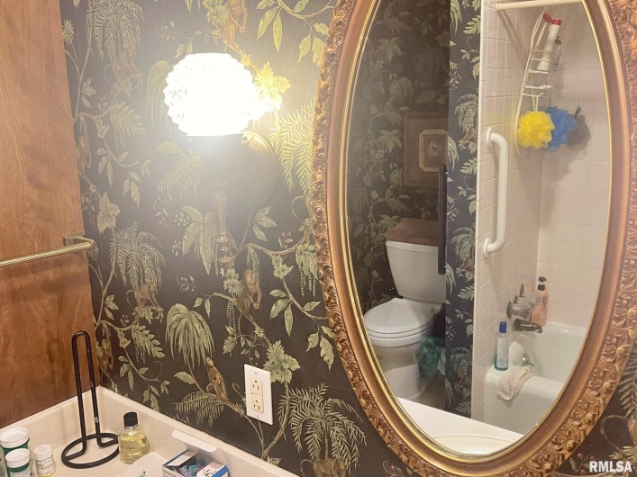 53 OLD ORCHARD Road, Metropolis, Illinois 62960, 4 Bedrooms Bedrooms, 0 ,2 BathroomsBathrooms,Residential,For Sale,OLD ORCHARD,0,RMAEB460290