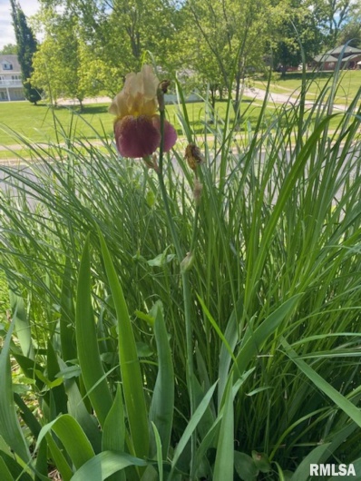 506 20TH Street, Murphysboro, Illinois 62966, 3 Bedrooms Bedrooms, 0 ,1 BathroomBathrooms,Residential,For Sale,20TH,0,RMAEB460292