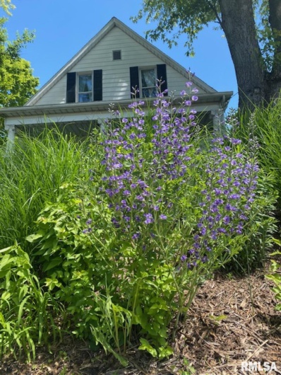 506 20TH Street, Murphysboro, Illinois 62966, 3 Bedrooms Bedrooms, 0 ,1 BathroomBathrooms,Residential,For Sale,20TH,0,RMAEB460292