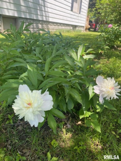 506 20TH Street, Murphysboro, Illinois 62966, 3 Bedrooms Bedrooms, 0 ,1 BathroomBathrooms,Residential,For Sale,20TH,0,RMAEB460292