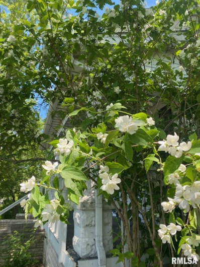 506 20TH Street, Murphysboro, Illinois 62966, 3 Bedrooms Bedrooms, 0 ,1 BathroomBathrooms,Residential,For Sale,20TH,0,RMAEB460292