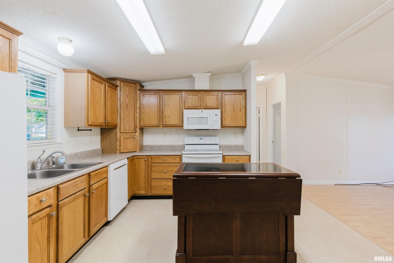 1009 Mayor Caliper Drive, Colp, Illinois 62921, 3 Bedrooms Bedrooms, 0 ,2 BathroomsBathrooms,Residential,For Sale,Mayor Caliper,0,RMAQC4268530