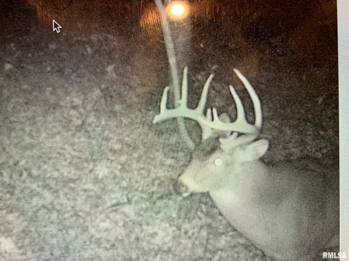 19168 COUNTY LINE Road, Jonesboro, Illinois 62952, 2 Bedrooms Bedrooms, 0 ,0,Land,For Sale,COUNTY LINE,0,RMAEB460301