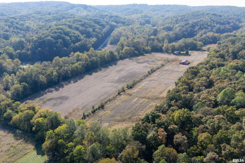 19168 COUNTY LINE Road, Jonesboro, Illinois 62952, 2 Bedrooms Bedrooms, 0 ,0,Land,For Sale,COUNTY LINE,0,RMAEB460301