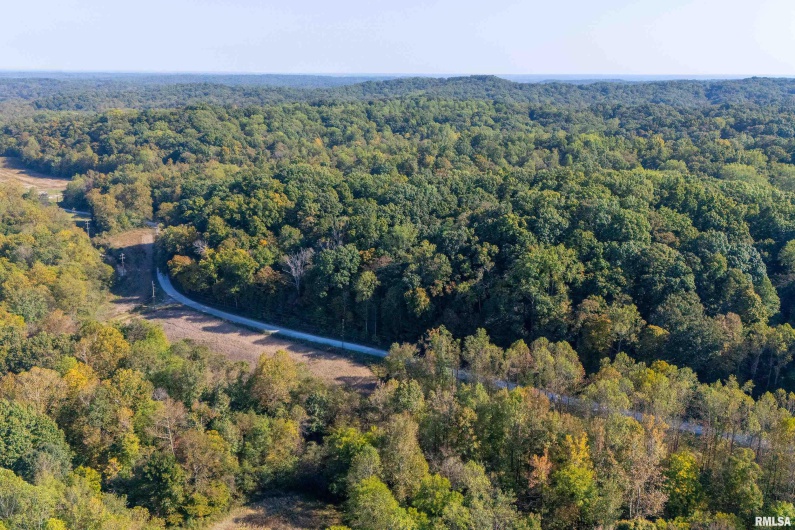 19168 COUNTY LINE Road, Jonesboro, Illinois 62952, 2 Bedrooms Bedrooms, 0 ,0,Land,For Sale,COUNTY LINE,0,RMAEB460301