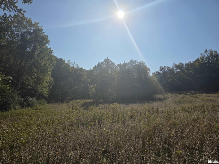 19168 COUNTY LINE Road, Jonesboro, Illinois 62952, 2 Bedrooms Bedrooms, 0 ,0,Land,For Sale,COUNTY LINE,0,RMAEB460301