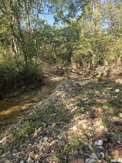 19168 COUNTY LINE Road, Jonesboro, Illinois 62952, 2 Bedrooms Bedrooms, 0 ,0,Land,For Sale,COUNTY LINE,0,RMAEB460301