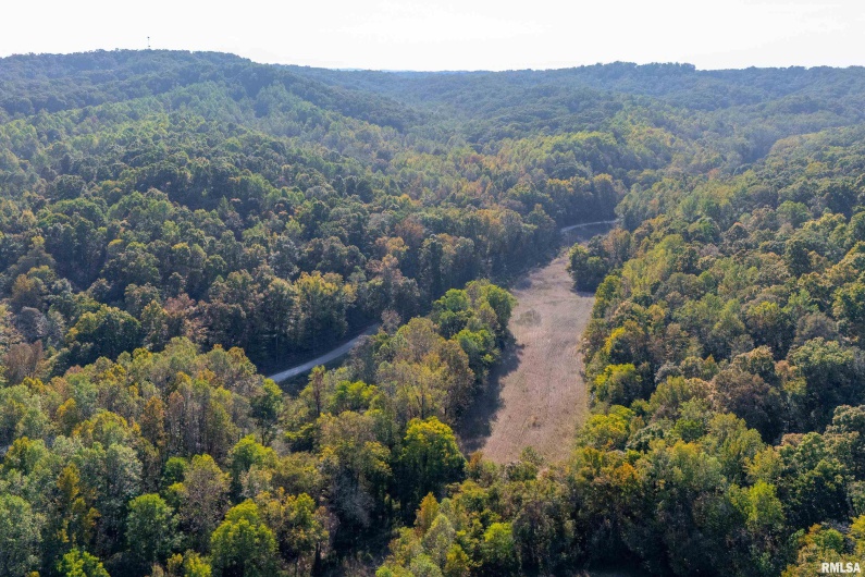 19168 COUNTY LINE Road, Jonesboro, Illinois 62952, 2 Bedrooms Bedrooms, 0 ,0,Land,For Sale,COUNTY LINE,0,RMAEB460301