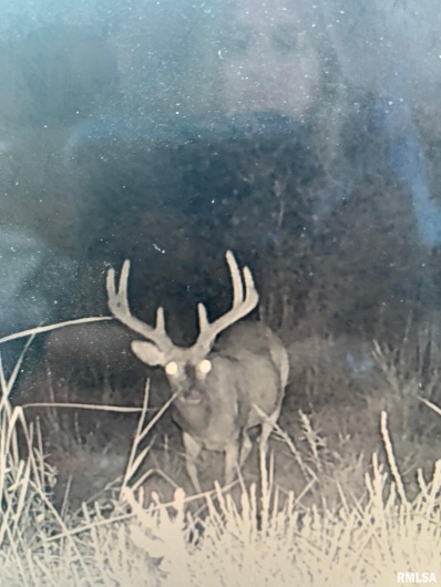 19168 COUNTY LINE Road, Jonesboro, Illinois 62952, 2 Bedrooms Bedrooms, 0 ,0,Land,For Sale,COUNTY LINE,0,RMAEB460301