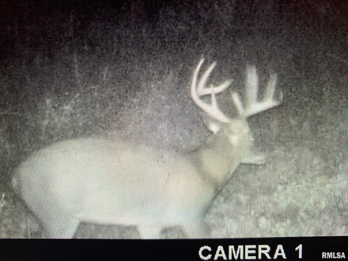 19168 COUNTY LINE Road, Jonesboro, Illinois 62952, 2 Bedrooms Bedrooms, 0 ,0,Land,For Sale,COUNTY LINE,0,RMAEB460301