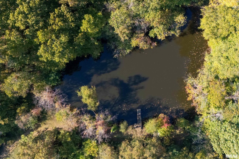 19168 COUNTY LINE Road, Jonesboro, Illinois 62952, 2 Bedrooms Bedrooms, 0 ,0,Land,For Sale,COUNTY LINE,0,RMAEB460301