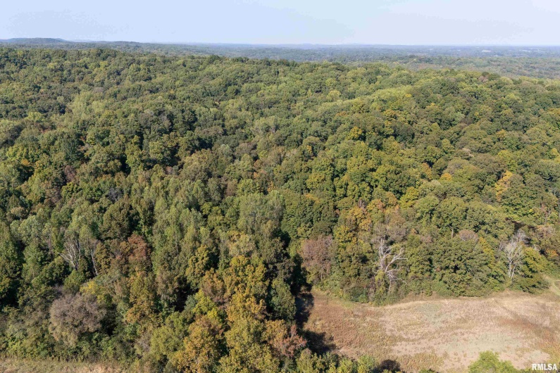 19168 COUNTY LINE Road, Jonesboro, Illinois 62952, 2 Bedrooms Bedrooms, 0 ,0,Land,For Sale,COUNTY LINE,0,RMAEB460301