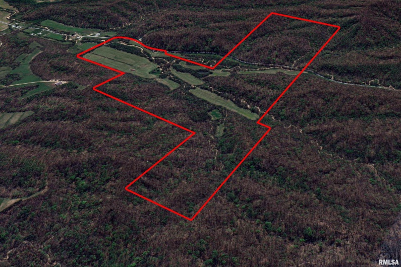 19168 COUNTY LINE Road, Jonesboro, Illinois 62952, 2 Bedrooms Bedrooms, 0 ,0,Land,For Sale,COUNTY LINE,0,RMAEB460301