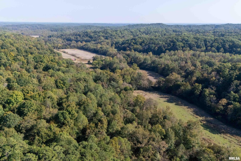 19168 COUNTY LINE Road, Jonesboro, Illinois 62952, 2 Bedrooms Bedrooms, 0 ,0,Land,For Sale,COUNTY LINE,0,RMAEB460301