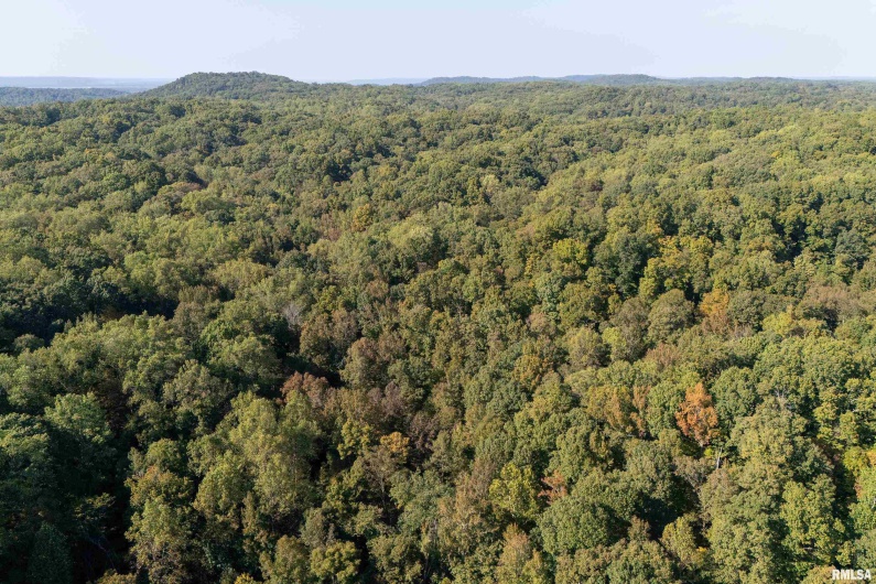 19168 COUNTY LINE Road, Jonesboro, Illinois 62952, 2 Bedrooms Bedrooms, 0 ,0,Land,For Sale,COUNTY LINE,0,RMAEB460301